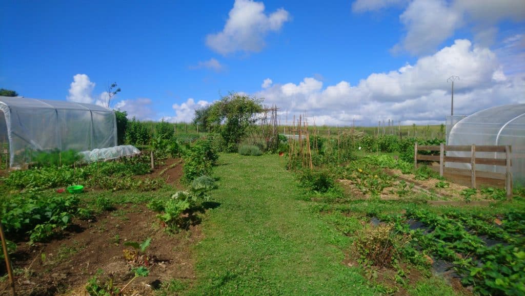 Le potager vivant au rythme de la lune expose au soleil - Bretagne, France
