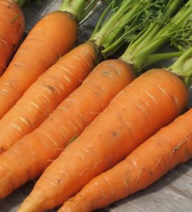 1612723905 rhotilde - Bretagne, France