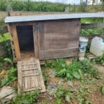 20250606 134213 - Bretagne, France