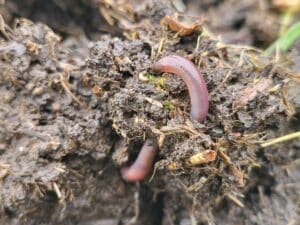 1000045877 - Bretagne, France 1000045877 - Bretagne, France