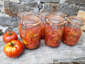 20200818 153751 resized - Bretagne, France 20200818 153751 resized - Bretagne, France