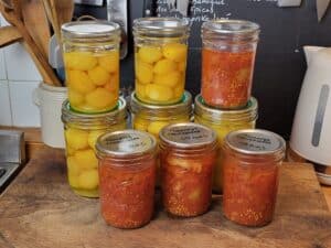 20250909 174435 - Bretagne, France 20250909 174435 - Bretagne, France